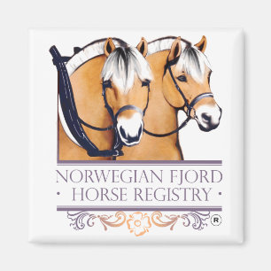 Imã Ímãs do logotipo de NFHR
