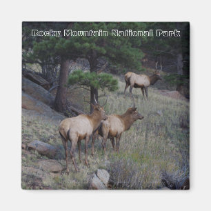 Imã Ímãs do parque nacional de montanha rochosa