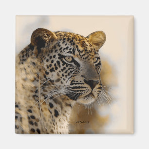 Imã Ímãs do safari do leopardo