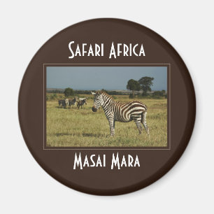 Imã Ímãs do safari dos animais selvagens da migraç