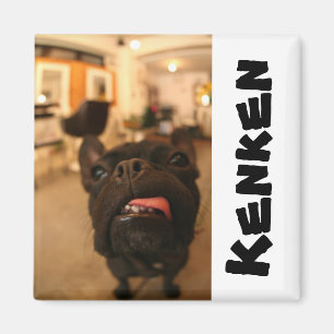 Imã Ímãs E de Kenken