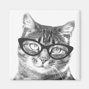 Imã Ímãs engraçados da foto do gato