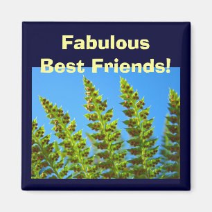 Imã Ímãs Melhores Amigos Fabulosos! Folhas de Samambai