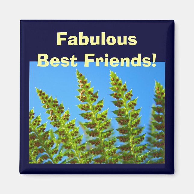 Imã Ímãs Melhores Amigos Fabulosos! Folhas de Samambai (Frente)