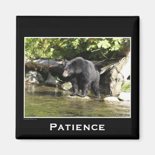 Imã Ímãs Motivacionais de Urso Negro