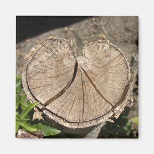 Imã Ímãs rachados do coto do coração