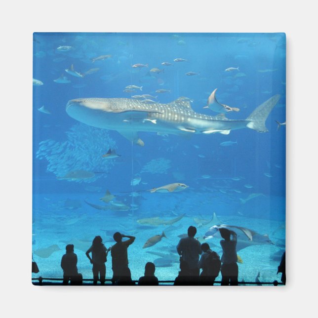 IMÃ IMG_0598 (Frente)