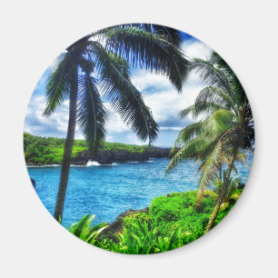 Imã IMG_1122 4 Praia Negra da Cena Havaiana