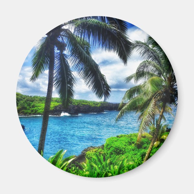 Imã IMG_1122 4 Praia Negra da Cena Havaiana (Frente)