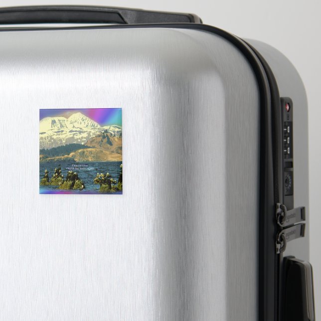 Imã Imperador Geese na Baía de Chiniak perto de Chinia (In Situ (Luggage))