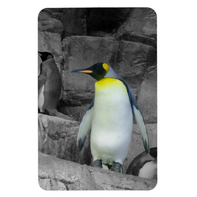 Ímã Imperador Penguin (Vertical)