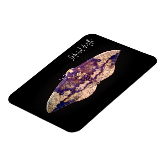 Ímã Imperial Moth (Left Side)