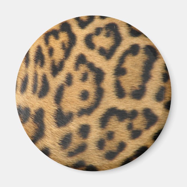 Imã Impressão de Leopardo (Frente)