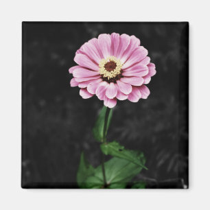 Imã Impressão duradoura