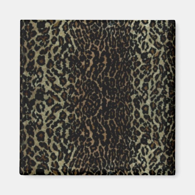Imã impressão-leopardo, Magnets (Frente)