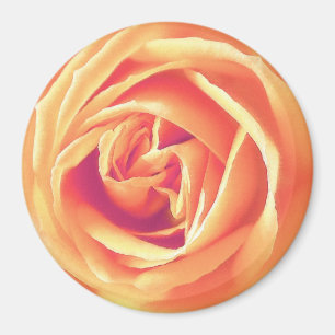 Imã impressão rosa de cor laranja suave