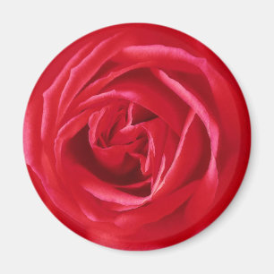 Imã Impressão rosa vermelha