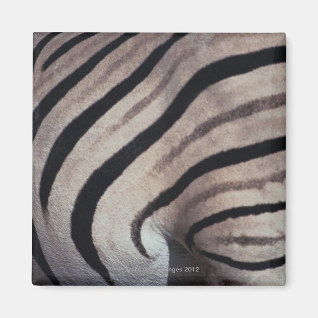 Imã Impressão zebra (Frente)