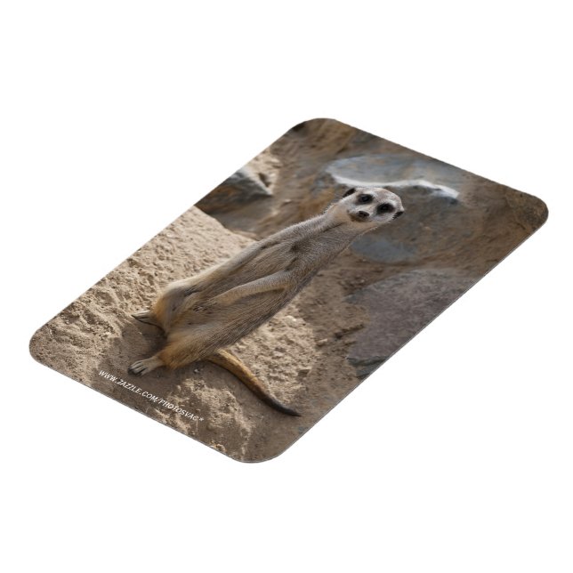 Ímã Impressionante Meerkat (Left Side)