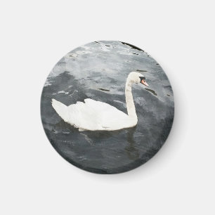 Imã Impressionista Swan