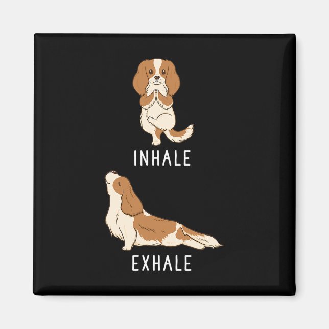 Imã Inalar Exalar Cavalier King Charles Spaniel Engraç (Frente)
