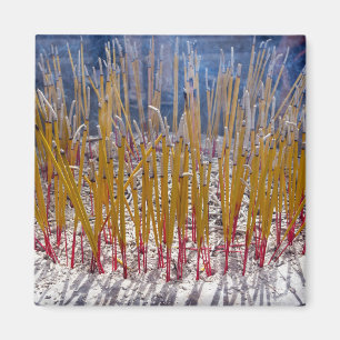 Imã Incenso num templo, Zhongdian, Yunnan - China