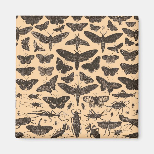 Imã indefinido (Frente)