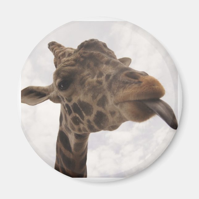 Imã indefinido (Frente)