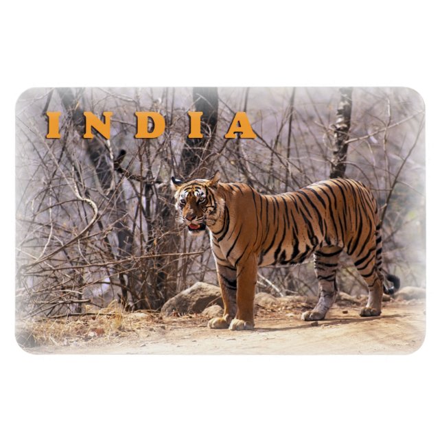 Ímã Índia (Horizontal)