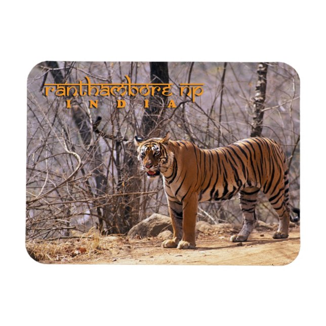 Ímã Índia (Horizontal)