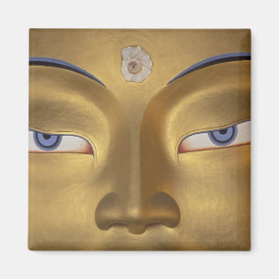 Imã Índia do Norte, Ladakh, Thikse gompa