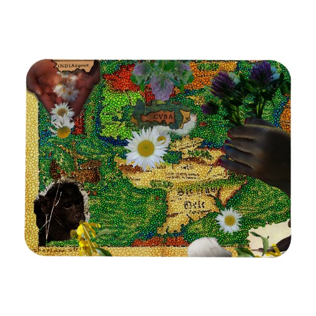 Ímã Índia e Cuba (Horizontal)