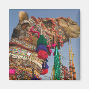 Imã ÍNDIA, Rajasthan, Pushkar: FEIRA DE CAMELÔS DE PUS