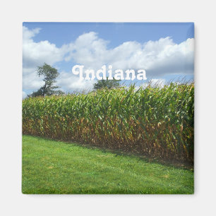 Imã Indiana