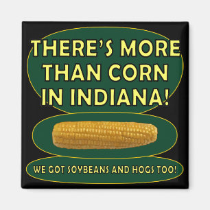 Imã Indiana Corn