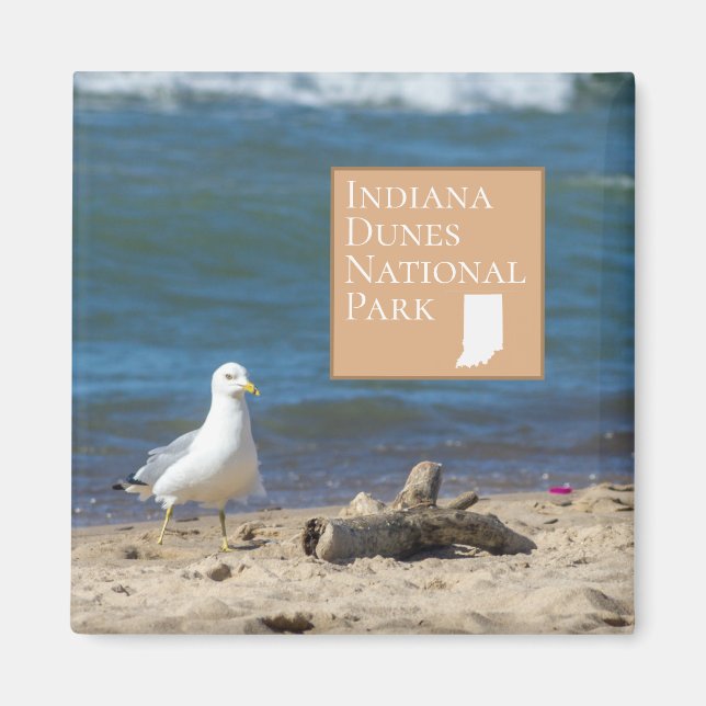Imã Indiana Dunes National Park Gift (Frente)