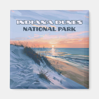 Imã Indiana Dunes National Park Lake Michigan
