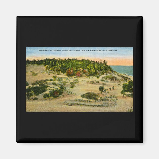 Imã Indiana Dunes State Park Lake Michigan, Indiana (Frente)