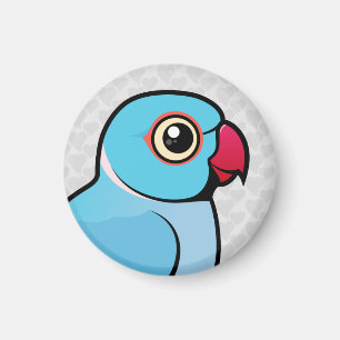 Imã Indiano azul Ringneck