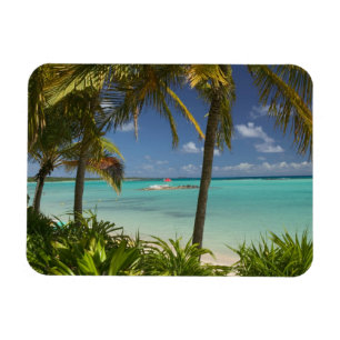 Ímã Índias Ocidentais Francesas, Guadaloupe, Grande T