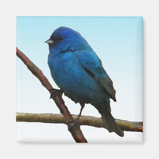 Imã Indigo Bunting (Frente)