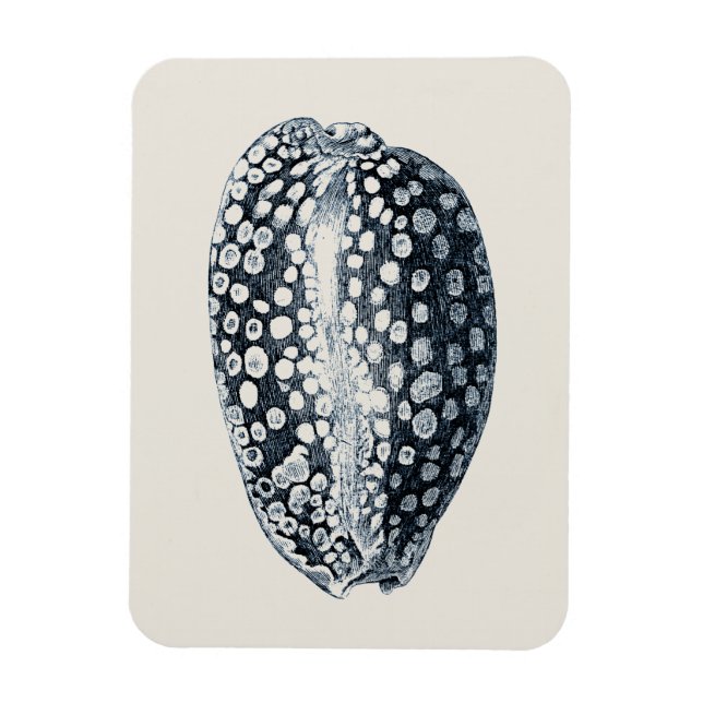 Ímã Indigo Seashell (Vertical)