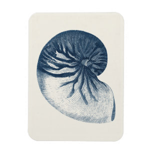 Ímã Indigo Shark Eye Seashell