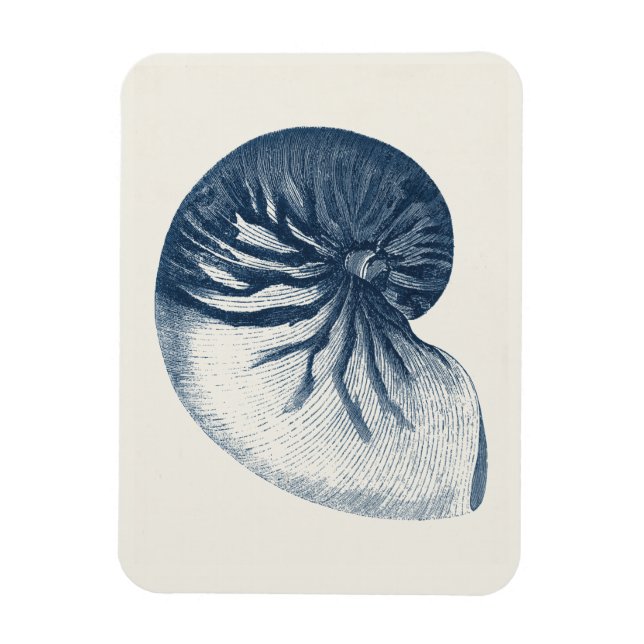 Ímã Indigo Shark Eye Seashell (Vertical)