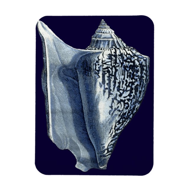 Ímã Indigo Shells I (Vertical)