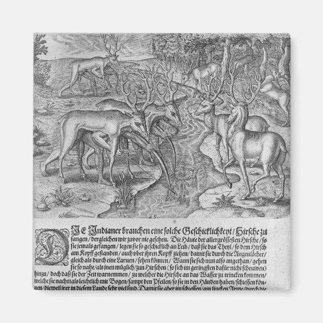 Imã Índios da Flórida caçando veados (Frente)