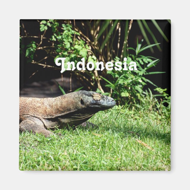Imã Indonesia Komodo Dragon (Frente)