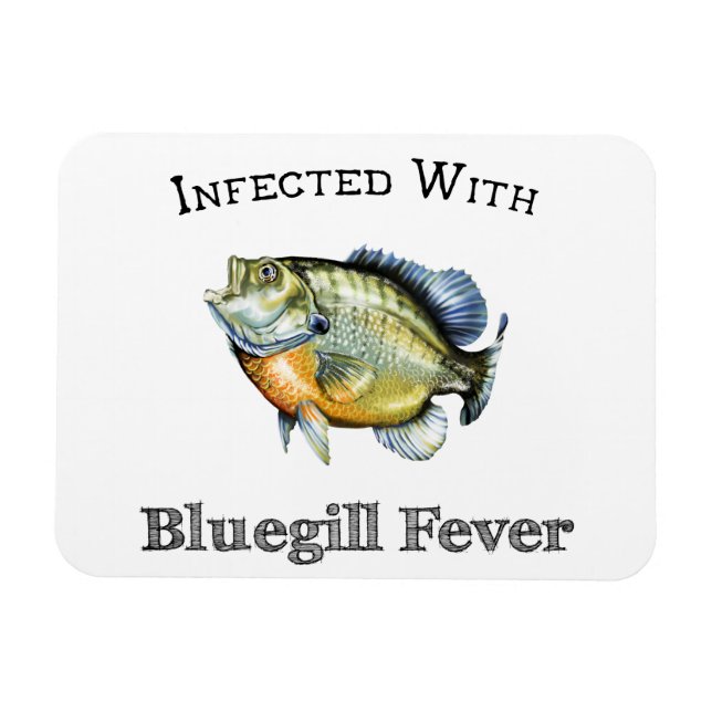 Ímã Infectado com febre de Bluegill (Horizontal)