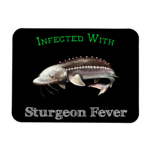 Ímã Infectado Com Febre De Sturgeon