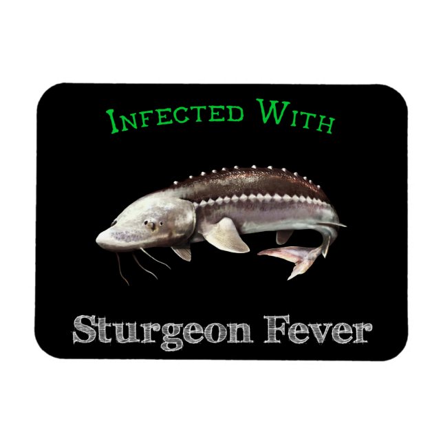 Ímã Infectado Com Febre De Sturgeon (Horizontal)